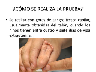 ¿CÓMO SE REALIZA LA PRUEBA?
• Se realiza con gotas de sangre fresca capilar,
  usualmente obtenidas del talón, cuando los
  niños tienen entre cuatro y siete días de vida
  extrauterina.
 