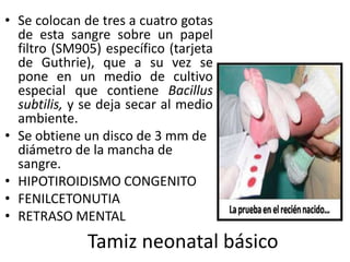 • Se colocan de tres a cuatro gotas
  de esta sangre sobre un papel
  filtro (SM905) específico (tarjeta
  de Guthrie), que a su vez se
  pone en un medio de cultivo
  especial que contiene Bacillus
  subtilis, y se deja secar al medio
  ambiente.
• Se obtiene un disco de 3 mm de
  diámetro de la mancha de
  sangre.
• HIPOTIROIDISMO CONGENITO
• FENILCETONUTIA
• RETRASO MENTAL
              Tamiz neonatal básico
 