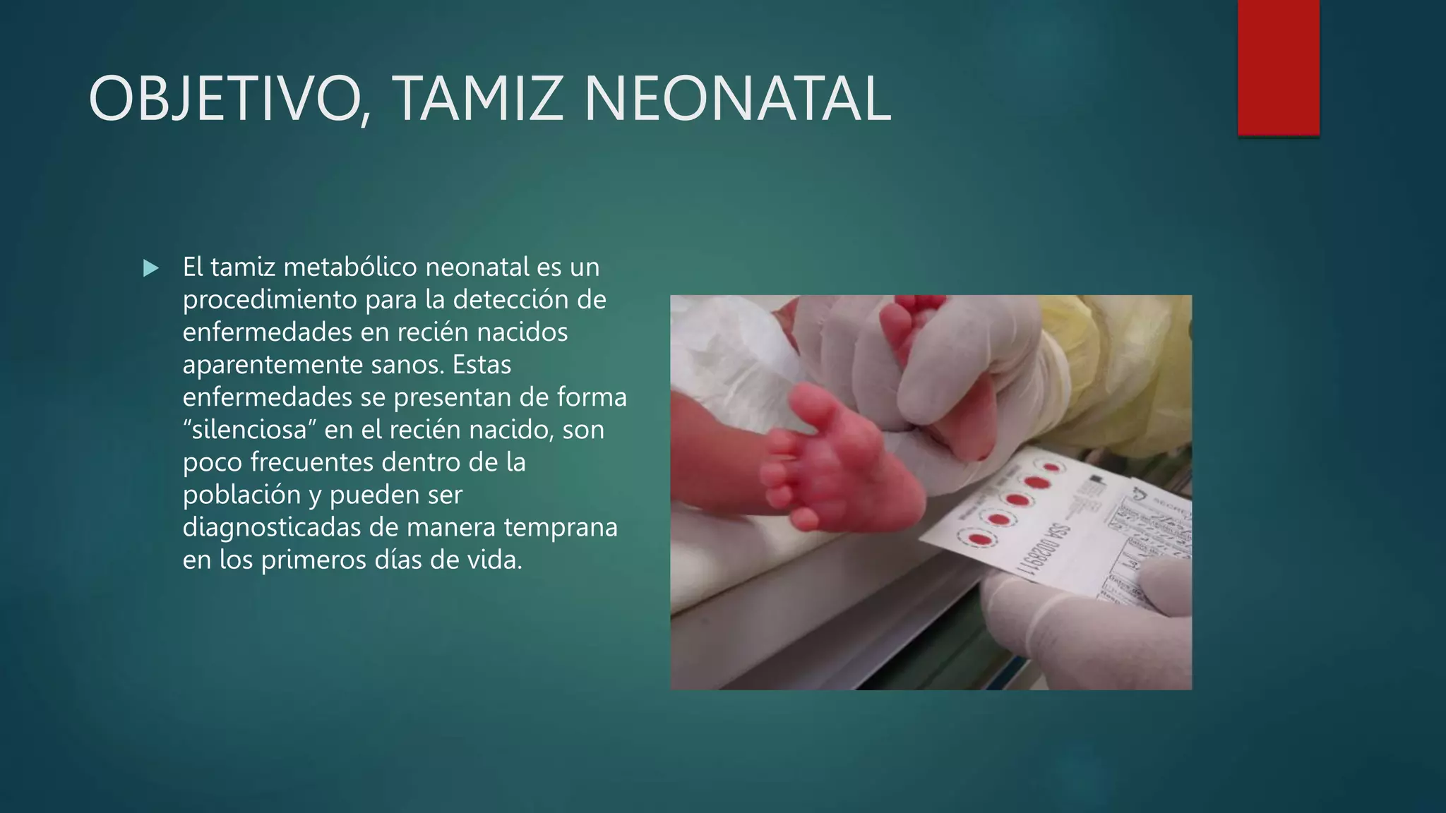 TAMIZ NEONATAL.pptx