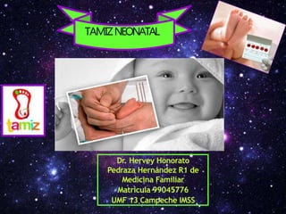 .
Dr. Hervey Honorato
Pedraza Hernández R1 de
Medicina Familiar
Matricula 99045776
UMF 13 Campeche IMSS
TAMIZNEONATAL
 