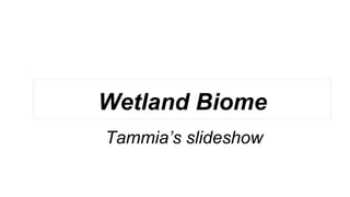 Wetland Biome
Tammia’s slideshow
 