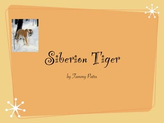 Siberion Tiger
    by Tammy Patrx
 