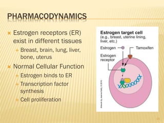 PHARMACODYNAMICS
 Estrogen receptors (ER)
exist in different tissues
 Breast, brain, lung, liver,
bone, uterus
 Normal Cellular Function
 Estrogen binds to ER
 Transcription factor
synthesis
 Cell proliferation
13
 
