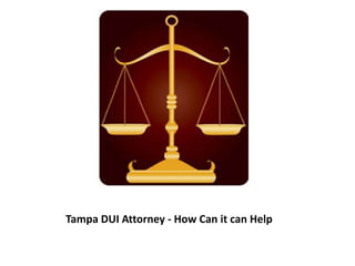 Tampa DUI Attorney - How Can it can Help
 