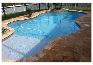  Tampa Pool Contractor