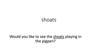 shoats
Would you like to see the shoats playing in
the pigpen?
 
