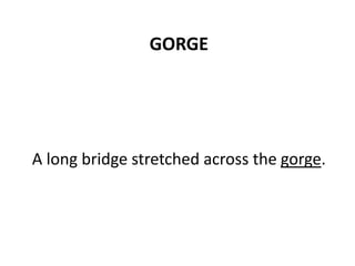 GORGE
A long bridge stretched across the gorge.
 