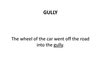 GULLY
The wheel of the car went off the road
into the gully.
 