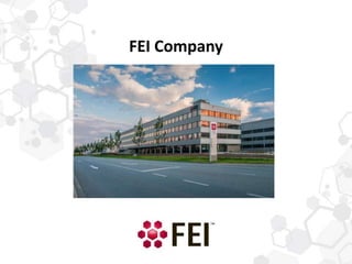 FEI Company
 