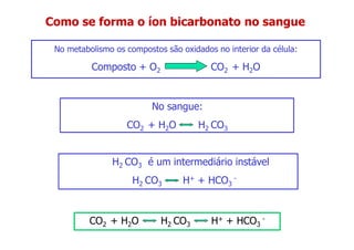 Como se forma o íon bicarbonato no sangue
No metabolismo os compostos são oxidados no interior da célula:
Composto + O2 CO2 + H2O
No sangue:
CO2 + H2O H2 CO3
H2 CO3 é um intermediário instável
H2 CO3 é um intermediário instável
H2 CO3 H+ + HCO3
-
CO2 + H2O H2 CO3 H+ + HCO3
-
 