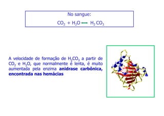No sangue:
CO2 + H2O H2 CO3
A velocidade de formação de H2CO3 a partir de
CO2 e H2O, que normalmente é lenta, é muito
aumentada pela enzima anidrase carbônica,
encontrada nas hemácias
 