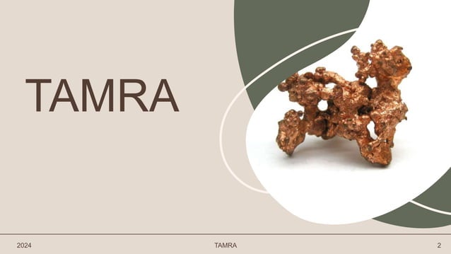 tamra ppt new..pptx rasa shastra and bhaisajya kalpana | PPTX ...