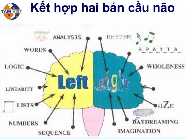 Right brained left brained. Left and right brain. left and right brain thinking. left brain skills. left brain right brain.