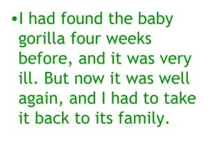 ?I had found the baby
 gorilla four weeks
 before, and it was very
 ill. But now it was well
 again, and I had to take
 it back to its family.
 