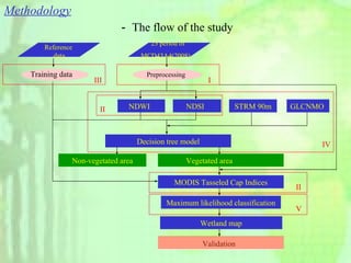 Vegetated area  Validation  Wetland map  Non-vegetated area Methodology － The flow of the study 23 period of  MCD43A4(2008) NDWI  Preprocessing Reference  data Training data GLCNMO  STRM 90m  NDSI  MODIS Tasseled Cap Indices Maximum likelihood classification  Decision tree model III  IV  V  I  II  II  