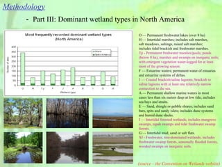 － Part III: Dominant wetland types in North America (source – the Convention on Wetlands website) O — Permanent freshwater lakes (over 8 ha)  H — Intertidal marshes; includes salt marshes,  salt meadows, saltings, raised salt marshes;  includes tidal brackish and freshwater marshes. Tp - Permanent freshwater marshes/pools; ponds (below 8 ha), marshes and swamps on inorganic soils; with emergent vegetation water-logged for at least  most of the growing season. F — Estuarine waters; permanent water of estuaries  and estuarine systems of deltas. J — Coastal brackish/saline lagoons; brackish to  saline lagoons with at least one relatively narrow  connection to the sea. A — Permanent shallow marine waters in most  cases less than six metres deep at low tide; includes  sea bays and straits. E — Sand, shingle or pebble shores; includes sand  bars, spits and sandy islets; includes dune systems  and humid dune slacks. I — Intertidal forested wetlands; includes mangrove  swamps, nipah swamps and tidal freshwater swamp  forests. G — Intertidal mud, sand or salt flats. Xf - Freshwater, tree-dominated wetlands; includes  freshwater swamp forests, seasonally flooded forests,  wooded swamps on inorganic soils. Methodology 