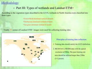 － Part III: Types of wetlands and Landsat ETM+ 1. Training data should satisfy the LCCS definition. Principles of training data collection: Totally  31  scenes of Landsat ETM+ images were used for collecting training sites.  Methodology Forest/Shrub dominant wetland (Inland) Herbaceous dominant wetland (Inland) Sea grass dominant wetland (Coastal) According to the vegetation types described in the LCCS, wetlands in North America were classified into three types. 2. MCD43A4 is MODIS data with the spatial  resolution of 500m.   The pure training site  area should be selected larger than 250ha  (3 ×3 pixels ). 