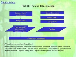 Methodology － Part III: Training data collection Common part of  existing maps Google Earth Ramsar Convention Landsat ETM+ Google Earth Non-vegetated* 1  and vegetated * 2  land cover types Wetland Collection of training data *1: Water, Snow, Urban, Bare (Rock&Sand) *2: Broadleaf evergreen forest, Broadleaf deciduous forest, Needleleaf evergreen forest, Needleleaf  deciduous forest, Mixed forest, Tree open, Shrub, Herbaceous, Herbaceous with sparse tree/shrub,  Sparse vegetation, Cropland, Paddy field, Cropland/other vegetation mosaic, Mangrove, 
