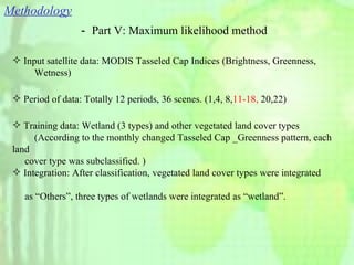 Methodology － Part V: Maximum likelihood method Input satellite data: MODIS Tasseled Cap Indices (Brightness, Greenness,  　　 　　 Wetness) Period of data: Totally 12 periods, 36 scenes. (1,4, 8, 11-18,  20,22)   Training data: Wetland (3 types) and other vegetated land cover types  　　 　　 (According to the monthly changed Tasseled Cap _Greenness pattern, each land  cover type was subclassified. ) Integration: After classification, vegetated land cover types were integrated  as “Others”, three types of wetlands were integrated as “wetland”. 