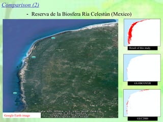 Comparison (2) Result of this study GLOBCOVER GLC2000 － Reserva de la Biosfera Ría Celestún (Mexico) Google Earth image 