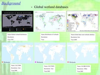 Background － Global wetland databases Name:Global wetland distribution Resolution: Year:1987 Name:Distribution of wetlands Resolution: Year: Name: GLC2000 Resolution: 1km Year:2000 Name: GLCNMO Resolution: 1km Year:2003 Name: GLOBCOVER Resolution: 300m Year:2005 Name:Global lakes and wetlands database Resolution:1km Year:2004 Wetlands Wetlands Wetlands 