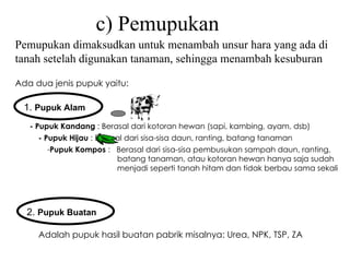 c) Pemupukan Ada dua jenis pupuk yaitu: 1.  Pupuk Alam   - Pupuk Kandang  : Berasal dari kotoran hewan (sapi, kambing, ayam, dsb) - Pupuk Hijau  : Berasal dari sisa-sisa daun, ranting, batang tanaman Pupuk Kompos  :  Berasal dari sisa-sisa pembusukan sampah daun, ranting,  batang tanaman, atau kotoran hewan hanya saja sudah  menjadi seperti tanah hitam dan tidak berbau sama sekali 2.  Pupuk Buatan   Adalah pupuk hasil buatan pabrik misalnya: Urea, NPK, TSP, ZA Pemupukan dimaksudkan untuk menambah unsur hara yang ada di tanah setelah digunakan tanaman, sehingga menambah kesuburan 