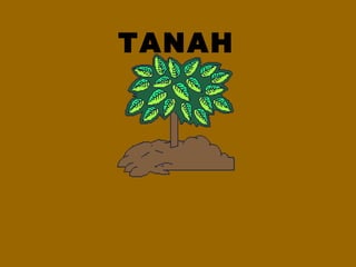 TANAH 