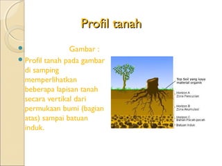 Profil tanah
               Gambar :
 Profil tanah pada gambar
  di samping
  memperlihatkan
  beberapa lapisan tanah
  secara vertikal dari
  permukaan bumi (bagian
  atas) sampai batuan
  induk.
 