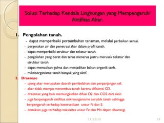 Solusi Terhadap Kendala Lingkungan yang Mempengaruhi
                         Aktifitas Akar.

1. Pengolahan tanah.
      - dapat memperbaiki pertumbuhan tanaman, melalui perbaikan aerasi.
    - pergerakan air dan penetrasi akar dalam profil tanah.
    - dapat memperbaiki struktur dan tekstur tanah.
    - pengolahan yang berat dan terus menerus justru merusak tekstur dan
      struktur tanah.
    - dapat mematikan gulma dan menjadikan bahan organik tanh.
    - mikroorganisme tanah banyak yang aktif.
2. Draenase
    - ujung akar merupakan daerah pembelahan dan perpanjangan sel.
    - akar tidak mampu menembus tanah karena difisiensi O2.
    - draenase yang baik memungkinkan difusi O2 dan CO2 dari akar.
    - juga berpengaruh aktifitas mikroorganisme aerobik tanah sehingga
      berpengaruh terhadap ketersediaan unsur N dan S.
    - demikian juga terhadap toksisitas unsur Fe dan Mn dapat dikurangi.

                                             11/22/12                      12
 