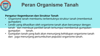 Peran Organisme Tanah
Pengatur Kegemburan dan Struktur Tanah
• Organisme tanah membantu terbentuknya struktur tanah (membentuk
gumpalan)
• Lendir yang dihasilkan oleh organisme tanah akan bercampur dengan
tanah dan membuat partikel tanah terkumpul membentuk gumpalan-
gumpalan tanah.
• Gumpalan tanah yang baik akan menunjang kehidupan organisme tanah
dan juga menunjang pertumbuhan populasi organisme tanah.
 