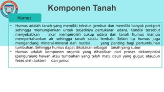 Komponen Tanah
• Humus adalah tanah yang memiliki tekstur gembur dan memiliki banyak pori-pori
sehingga memungkinkan untuk terjadinya pertukaran udara. Kondisi tersebut
menyebabkan akar memperoleh cukup udara dan tanah humus mampu
mempertahankan air sehingga tanah selalu lembab. Selain itu humus juga
mengandung mineral-mineral dan nutrisi yang penting bagi pertumbuhan
tumbuhan. Sehingga humus dapat dikatakan sebagai tanah yang subur
• Humus adalah komponen organik yang dihasilkan dari proses dekomposisi
(penguraian) hewan atau tumbuhan yang telah mati, daun yang gugur, ataupun
feses oleh bakteri dan jamur.
Humus
 
