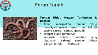 Peran Tanah
Tempat Hidup Hewan, Tumbuhan &
Bakteri
• Tanah merupakan tempat hidup
bermilyar- milyar hewan dan bakteri
seperti cacing, semut, lipan, dll
• Tempat hidup tumbuhan
• Penyedia nutrisi tumbuhan yang
digunakan sebagai sumber bahan
pangan untuk manusia
 