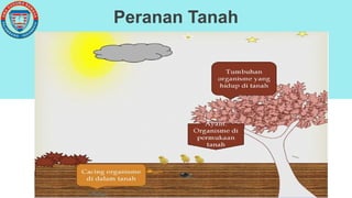 Peranan Tanah
 