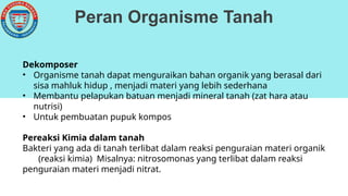 Peran Organisme Tanah
Dekomposer
• Organisme tanah dapat menguraikan bahan organik yang berasal dari
sisa mahluk hidup , menjadi materi yang lebih sederhana
• Membantu pelapukan batuan menjadi mineral tanah (zat hara atau
nutrisi)
• Untuk pembuatan pupuk kompos
Pereaksi Kimia dalam tanah
Bakteri yang ada di tanah terlibat dalam reaksi penguraian materi organik
(reaksi kimia) Misalnya: nitrosomonas yang terlibat dalam reaksi
penguraian materi menjadi nitrat.
 