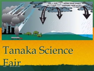 Tanaka Science
Fair
 