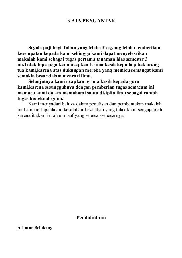 Tanaman Hias Keladi Hias