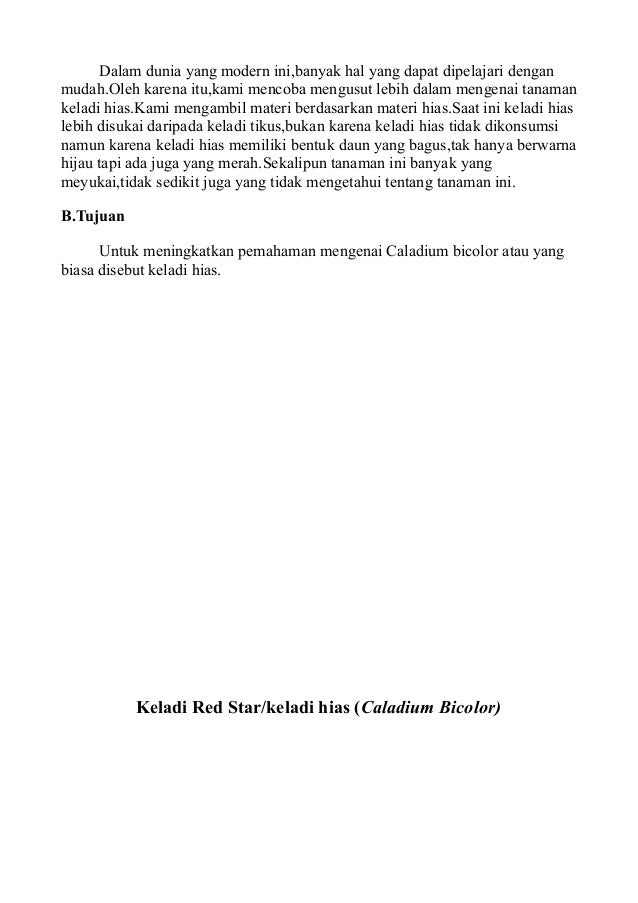 Tanaman Hias Keladi Hias