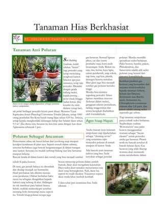 Tanaman Anti Polutan | PDF