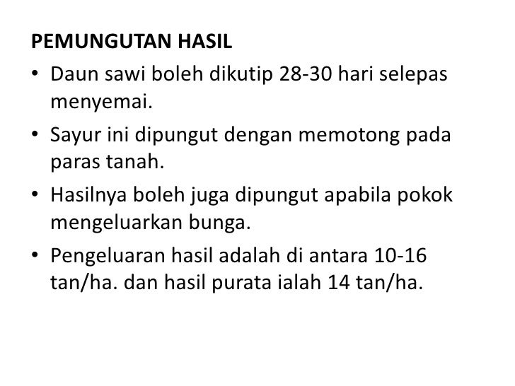 Ukuran Tanah 1 Hektar Sama Dengan House MY B
