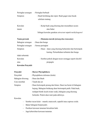 Peringkat serangan     : Peringkat berbuah
   Simptom                    : Buah berlubang dan reput. Buah gugur atau busuk
                               sebelum matang


   Kawalan                       : Kutip buah yang diserang dan musnahkan secara
   tanam                                  atau bakar
                              Sebagai kawalan gunakan attractant seperti methyleugenol


   Nama perosak                  : Hamama merah (tetranychus truncatus)
   Bahagian serangan      : Daun dan bunga
   Peringkat serangan     : Semua peringkat
   Simptom                       : Daun – daun yang diserang berkerekot dan bertompok
                                          kuning. Pertumbuhan terbantut dan bunga
   tidak terbentuk
   Kawalan                       : Sembur pokok dengan racun serangga seperti dicofol
   atau                                   propagite
   Kawalan Penyakit


Penyakit              : Hawar Phytophthora
Penyebab              : Phytophthora infestans (kulat)
Bahagian diserang     : Daun dan Buah
Cara merebak          : Tanah dan air
Simpton               : Daun bertompok perang dan hitam. Daun tua berair di bahagian
                        hujung. Bahagian belakang daun bertompok putih. Pada buah,
                        terdapat bintik lecuh (water soak), bahagian yang diserang
                        berkedut. Pokok akan mati pada akhirnya.
Kawalan
           –   Sembur racun kulat – maneb, mancozeb, captafol atau cuprous oxide.
           –   Bakar bahagian berpenyakit.
           –   Pastikan kawasan tanaman bersaliran baik.
           –   Jaga kebersihan kawasan tanaman.
 
