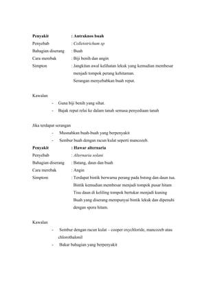 Penyakit                 : Antraknos buah
Penyebab                 : Colletotrichum sp
Bahagian diserang        : Buah
Cara merebak             : Biji benih dan angin
Simpton                  : Jangkitan awal kelihatan lekuk yang kemudian membesar
                          menjadi tompok perang kehitaman.
                          Serangan menyebabkan buah reput.


Kawalan
           -   Guna biji benih yang sihat.
           -   Bajak reput relai ke dalam tanah semasa penyediaan tanah


Jika terdapat serangan
           -   Musnahkan buah-buah yang berpenyakit
           -   Sembur buah dengan racun kulat seperti mancozeb.
Penyakit                 : Hawar alternaria
Penyebab                 : Alternaria solani
Bahagian diserang        : Batang, daun dan buah
Cara merebak             : Angin
Simptom                  : Terdapat bintik berwarna perang pada bstsng dan daun tua.
                          Bintik kemudian membesar menjadi tompok pusar hitam
                          Tisu daun di keliling tompok bertukar menjadi kuning
                          Buah yang diserang mempunyai bintik lekuk dan dipenuhi
                          dengan spora hitam.


Kawalan
           -   Sembur dengan racun kulat – cooper oxychloride, mancozeb atau
               chlorothalonil
           -   Bakar bahagian yang berpenyakit
 