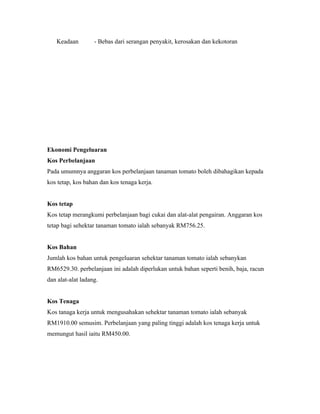 Keadaan         - Bebas dari serangan penyakit, kerosakan dan kekotoran




Ekonomi Pengeluaran
Kos Perbelanjaan
Pada umumnya anggaran kos perbelanjaan tanaman tomato boleh dibahagikan kepada
kos tetap, kos bahan dan kos tenaga kerja.


Kos tetap
Kos tetap merangkumi perbelanjaan bagi cukai dan alat-alat pengairan. Anggaran kos
tetap bagi sehektar tanaman tomato ialah sebanyak RM756.25.


Kos Bahan
Jumlah kos bahan untuk pengeluaran sehektar tanaman tomato ialah sebanykan
RM6529.30. perbelanjaan ini adalah diperlukan untuk bahan seperti benih, baja, racun
dan alat-alat ladang.


Kos Tenaga
Kos tanaga kerja untuk mengusahakan sehektar tanaman tomato ialah sebanyak
RM1910.00 semusim. Perbelanjaan yang paling tinggi adalah kos tenaga kerja untuk
memungut hasil iaitu RM450.00.
 
