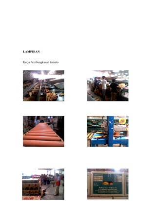 LAMPIRAN


Kerja Pembungkusan tomato
 