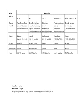 Sifat                                                Kultivar
pokok
            L 24                MT 1               MT 11               Serdang 2        King Kong ( F1)

Tabiat      Tegak, rimbun       Tegak, rimbun,     Rimbun,             Tegak, rimbun, Tegak, separa
pokok       dan berterusan      sederhana besar,   separa              sepera           berterusan
            ( indeterminate) separa berterusan     berterusan          berterusan       ( indeterminate)
                                (semideterminate) (indeterminate) (indeterminate)

Berat       Besar               Kecil              Sederhana           Sederhana        Besar
            (lebih 60 g/biji)   (25-30 g/biji)     (40-80 g/biji)      (40-80 g/biji)   (100-150g/biji)

Warna       Merah               Merah cerah        Merah               Merah            Merah

Kegunaan    Segar               Segar/proses       Segar               Segar            Segar

Hasil       18-30 tan/ha        15-25 tan/ha       15-28 tan/ha        20-25 tan/ha     25-30 tan/ha




    Amalan Kultur
    Program Kerja
    Program gerak kerja bagi tomato terdapat seperti jadual berikut.
 