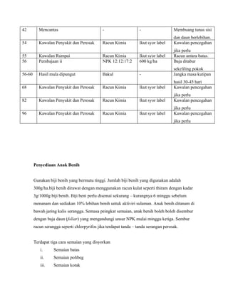 42        Mencantas                           -                    -                  Membuang tunas sisi
                                                                                      dan daun berlebihan.
54        Kawalan Penyakit dan Perosak        Racun Kimia          Ikut syor label    Kawalan pencegahan
                                                                                      jika perlu
55        Kawalan Rumpai                      Racun Kimia          Ikut syor label    Racun antara batas.
56        Pembajaan ii                        NPK 12:12:17:2       600 kg/ha          Baja ditabur
                                                                                      sekeliling pokok
56-60     Hasil mula dipungut                 Bakul                -                  Jangka masa kutipan
                                                                                      hasil 30-45 hari
68        Kawalan Penyakit dan Perosak        Racun Kimia          Ikut syor label    Kawalan pencegahan
                                                                                      jika perlu
82        Kawalan Penyakit dan Perosak        Racun Kimia          Ikut syor label    Kawalan pencegahan
                                                                                      jika perlu
96        Kawalan Penyakit dan Perosak        Racun Kimia          Ikut syor label    Kawalan pencegahan
                                                                                      jika perlu




        Penyediaan Anak Benih


        Gunakan biji benih yang bermutu tinggi. Jumlah biji benih yang digunakan adalah
        300g/ha.biji benih dirawat dengan menggunakan racun kulat seperti thiram dengan kadar
        3g/1000g biji benih. Biji beni perlu disemai sekurang – kurangnya 6 minggu sebelum
        menanam dan sediakan 10% lebihan benih untuk aktiviri sulaman. Anak benih ditanam di
        bawah jaring kalis serangga. Semasa peingkat semaian, anak benih boleh boleh disembur
        dengan baja daun (foliar) yang mengandungi unsur NPK mulai minggu ketiga. Sembur
        racun serangga seperti chlorpyrifos jika terdapat tanda – tanda serangan perosak.


        Terdapat tiga cara semaian yang disyorkan
           i.      Semaian batas
           ii.     Semaian polibeg
           iii.    Semaian kotak
 