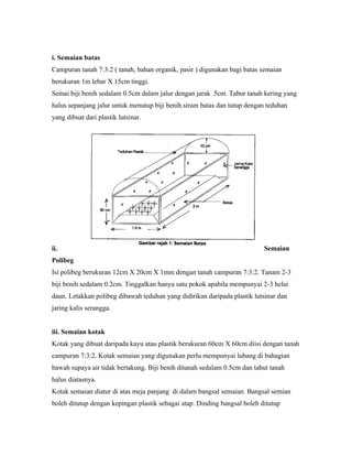 i. Semaian batas
Campuran tanah 7:3:2 ( tanah, bahan organik, pasir ) digunakan bagi batas semaian
berukuran 1m lebar X 15cm tinggi.
Semai biji benih sedalam 0.5cm dalam jalur dengan jarak 5cm. Tabur tanah kering yang
halus sepanjang jalur untuk menutup biji benih.siram batas dan tutup dengan teduhan
yang dibuat dari plastik lutsinar.




ii.                                                                        Semaian
Polibeg
Isi polibeg berukuran 12cm X 20cm X 1mm dengan tanah campuran 7:3:2. Tanam 2-3
biji benih sedalam 0.2cm. Tinggalkan hanya satu pokok apabila mempunyai 2-3 helai
daun. Letakkan polibeg dibawah teduhan yang didirikan daripada plastik lutsinar dan
jaring kalis serangga.


iii. Semaian kotak
Kotak yang dibuat daripada kayu atau plastik berukuran 60cm X 60cm diisi dengan tanah
campuran 7:3:2. Kotak semaian yang digunakan perlu mempunyai lubang di bahagian
bawah supaya air tidak bertakung. Biji benih ditanah sedalam 0.5cm dan tabut tanah
halus diatasnya.
Kotak semaian diatur di atas meja panjang di dalam bangsal semaian. Bangsal semian
boleh ditutup dengan kepingan plastik sebagai atap. Dinding bangsal boleh ditutup
 