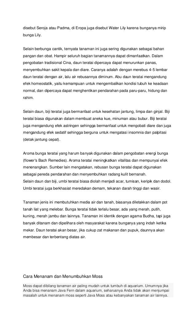 Tanaman Air