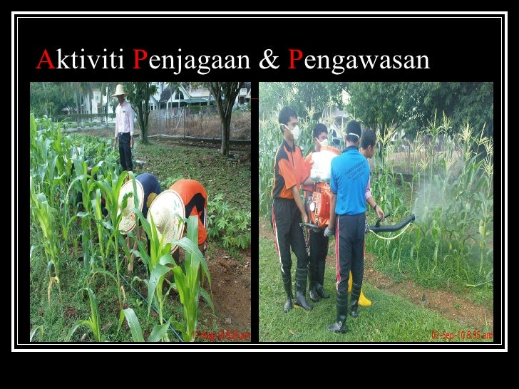 batas tanaman in english