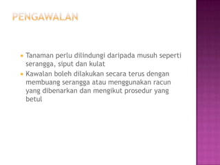    Tanaman perlu dilindungi daripada musuh seperti
    serangga, siput dan kulat
   Kawalan boleh dilakukan secara terus dengan
    membuang serangga atau menggunakan racun
    yang dibenarkan dan mengikut prosedur yang
    betul
 