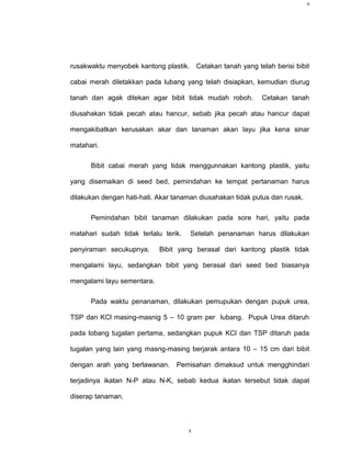 x




rusakwaktu menyobek kantong plastik. Cetakan tanah yang telah berisi bibit

cabai merah diletakkan pada lubang yang telah disiapkan, kemudian diurug

tanah dan agak ditekan agar bibit tidak mudah roboh.        Cetakan tanah

diusahakan tidak pecah atau hancur, sebab jika pecah atau hancur dapat

mengakibatkan kerusakan akar dan tanaman akan layu jika kena sinar

matahari.

      Bibit cabai merah yang tidak menggunnakan kantong plastik, yaitu

yang disemaikan di seed bed, pemindahan ke tempat pertanaman harus

dilakukan dengan hati-hati. Akar tanaman diusahakan tidak putus dan rusak.

      Pemindahan bibit tanaman dilakukan pada sore hari, yaitu pada

matahari sudah tidak terlalu terik.   Setelah penanaman harus dilakukan

penyiraman secukupnya.      Bibit yang berasal dari kantong plastik tidak

mengalami layu, sedangkan bibit yang berasal dari seed bed biasanya

mengalami layu sementara.

      Pada waktu penanaman, dilakukan pemupukan dengan pupuk urea,

TSP dan KCl masing-masnig 5 – 10 gram per lubang. Pupuk Urea ditaruh

pada lobang tugalan pertama, sedangkan pupuk KCl dan TSP ditaruh pada

tugalan yang lain yang masng-masing berjarak antara 10 – 15 cm dari bibit

dengan arah yang berlawanan.     Pemisahan dimaksud untuk mengghindari

terjadinya ikatan N-P atau N-K, sebab kedua ikatan tersebut tidak dapat

diserap tanaman.



                                      x
 